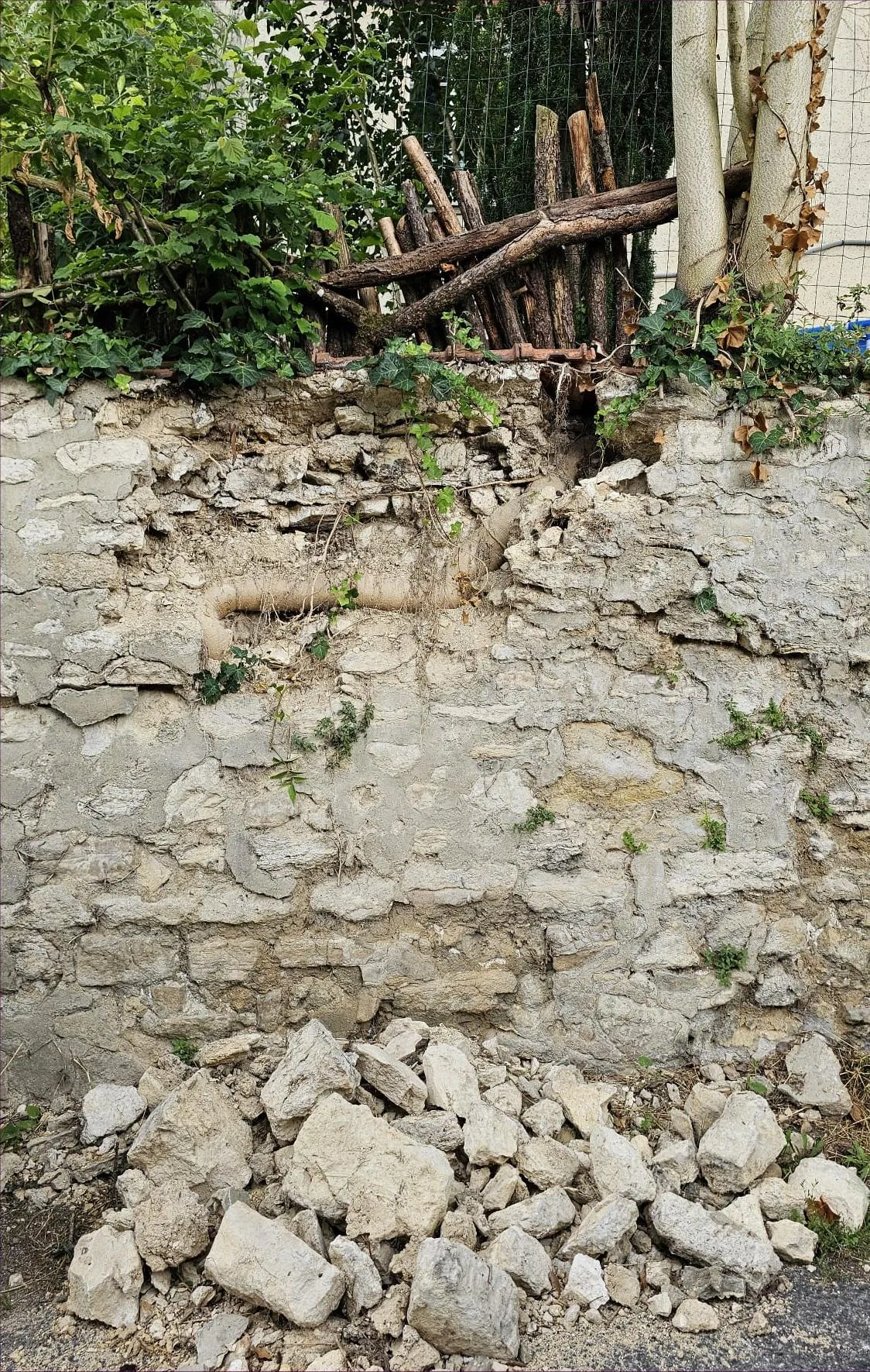 Photo de terrain montrant un sol fissuré et des racines exposées après un épisode de sécheresse